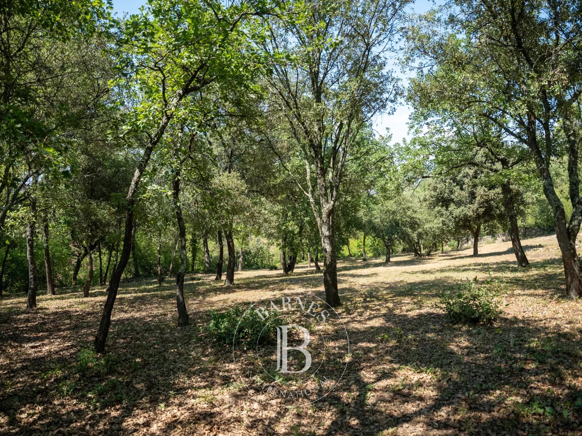 Maison Gordes  -  ref 86071139 (picture 3)