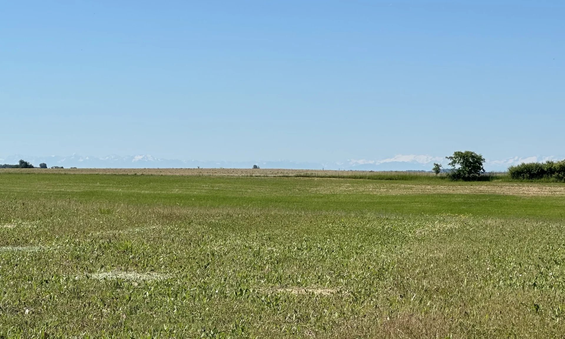 Agence immobilière de Immo Lomagne