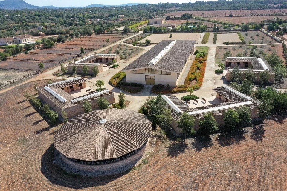 Sale Equestrian estate Llucmajor
