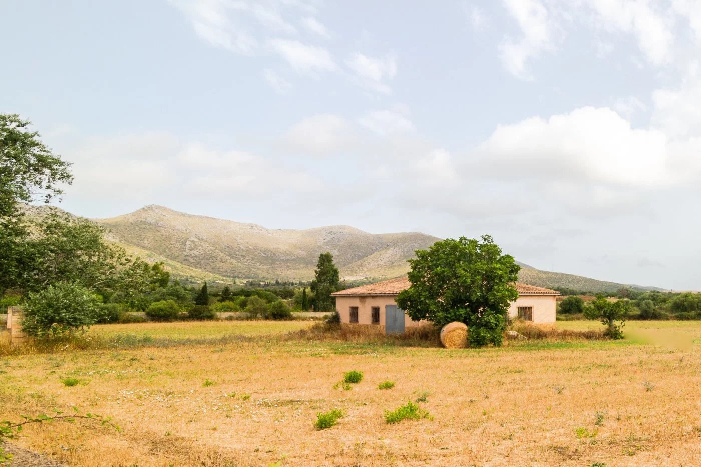 Vente Terrain Capdepera