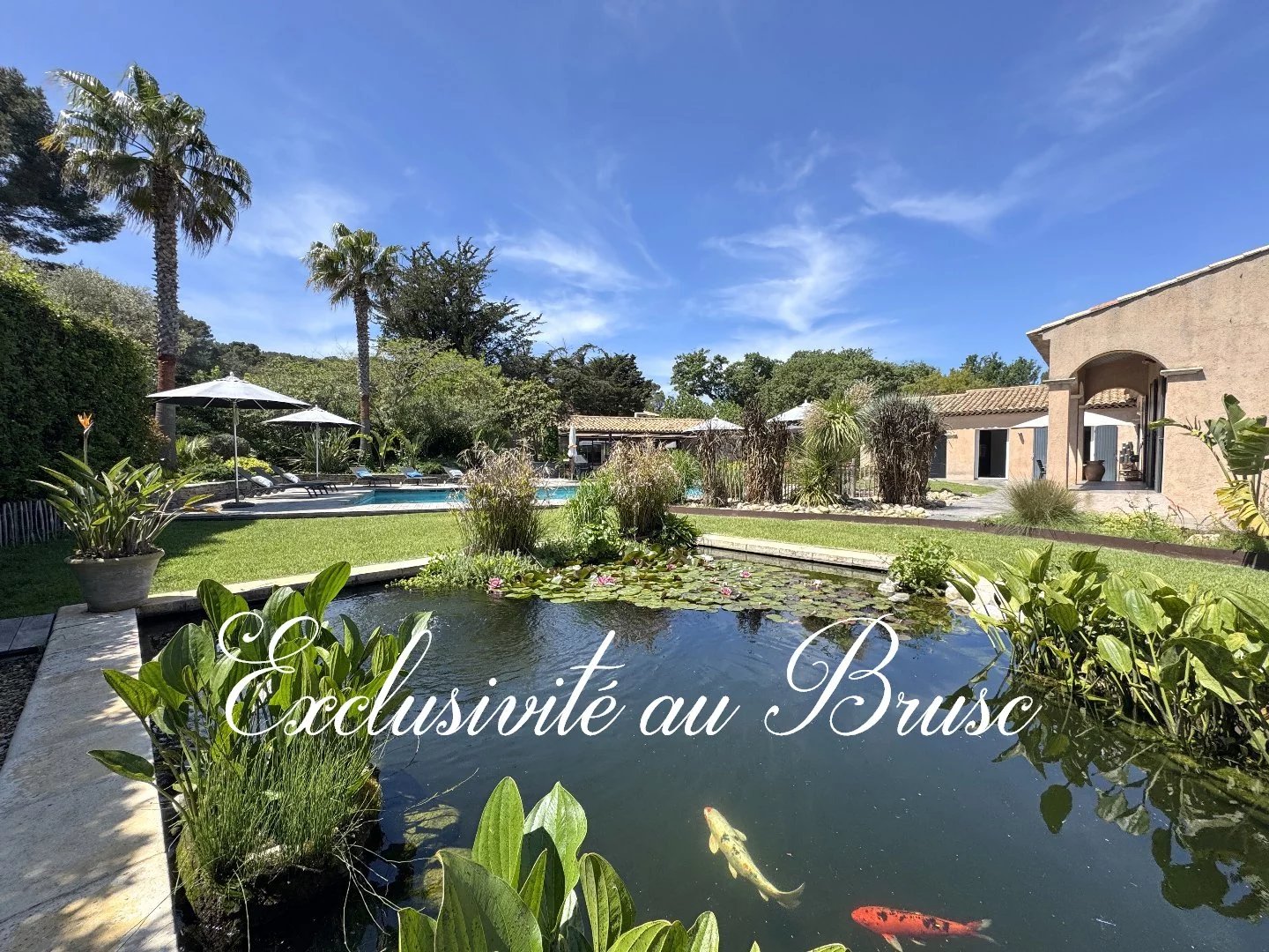 Le Brusc, à 3 mn en voiture du port, villa contemporaine de plain-pied avec piscine, pool house et 3 garages