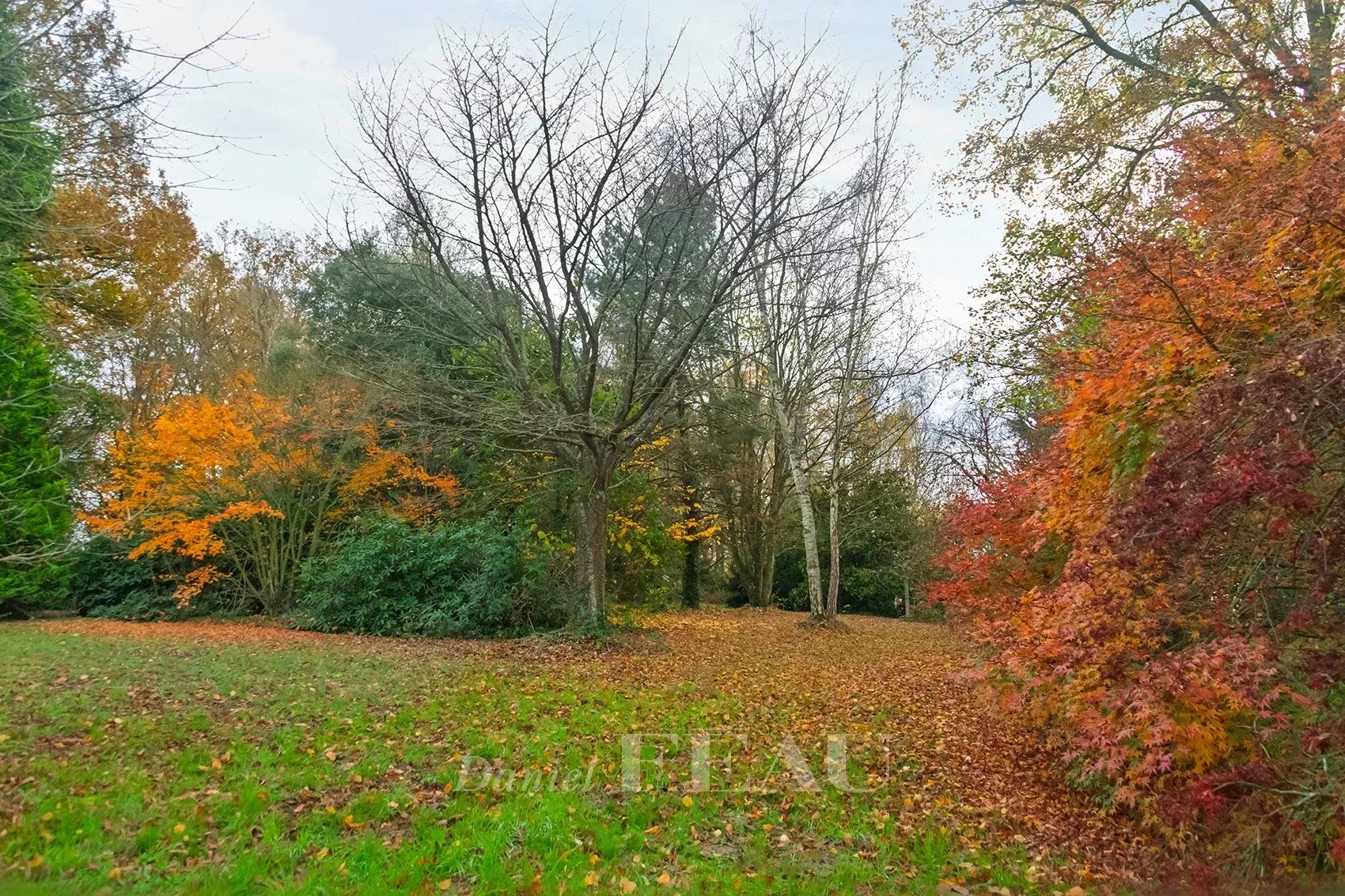 Vente Maison Montfort-l'Amaury