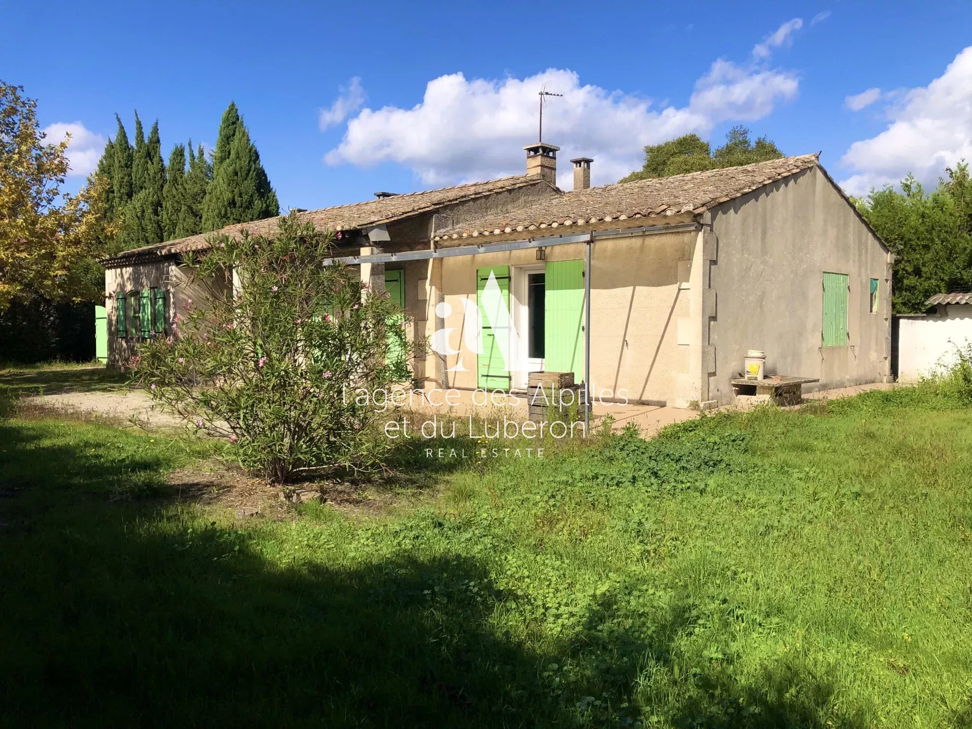 à vendre maison Saint Rémy de Provence Alpilles jardin