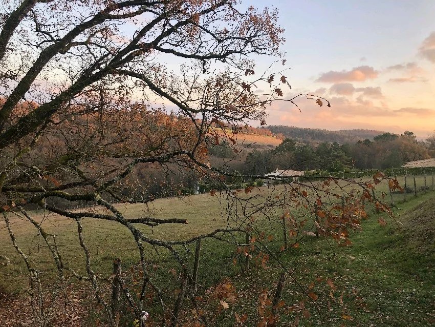 Vente Terrain Trélissac