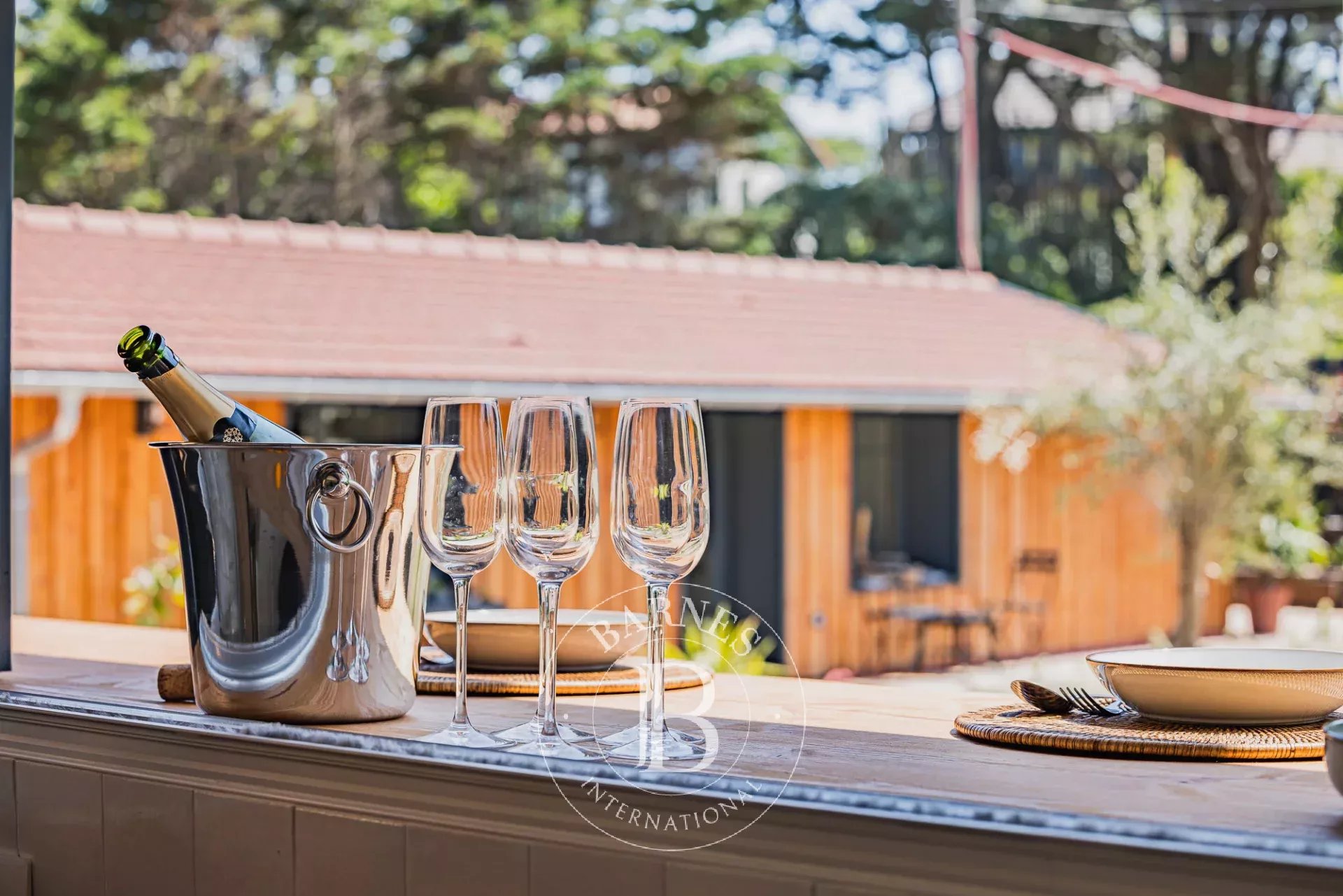 Ev Cap-Ferret - picture 18