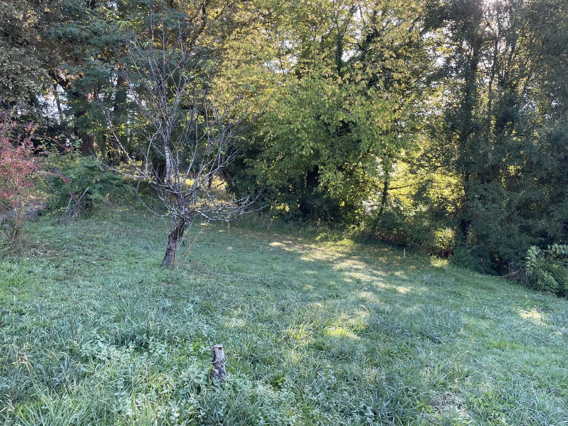 Agence immobilière de POUILLON IMMOBILIER