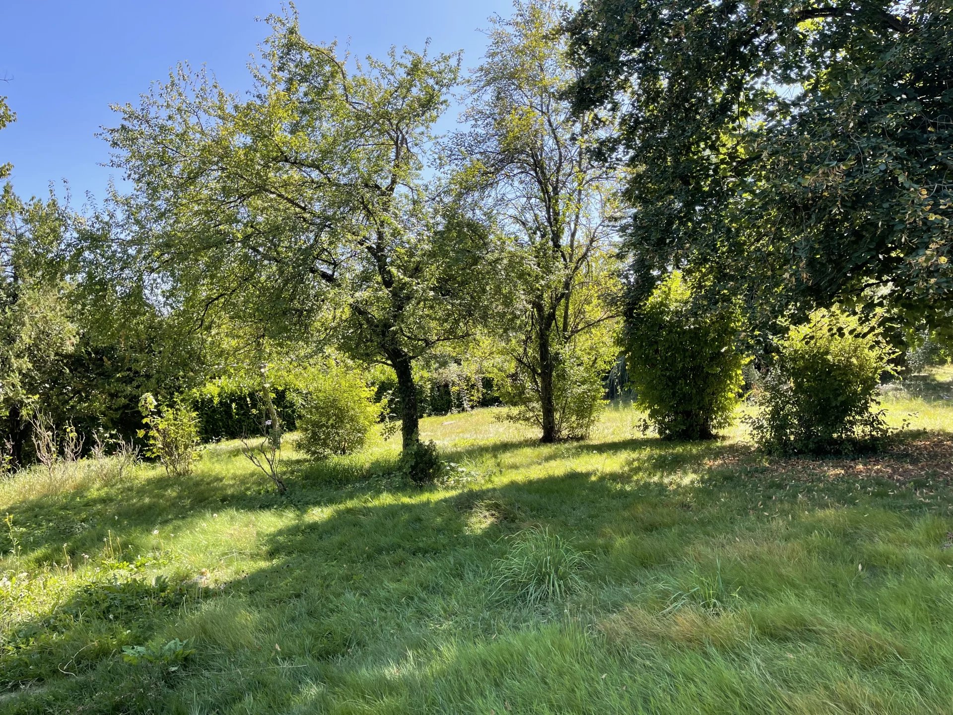 Vente Terrain Vienne