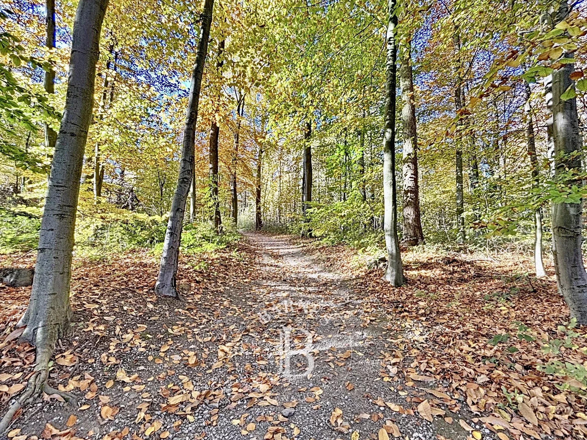 Daire Ixelles - picture 16