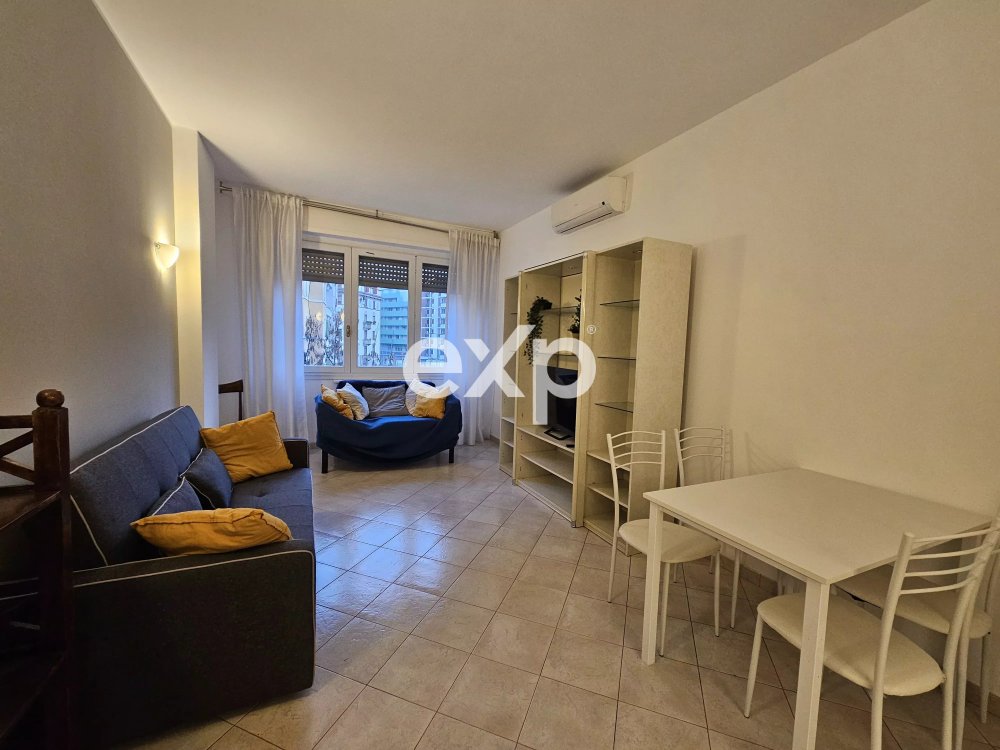 AMPIO BILOCALE CON CUCINA