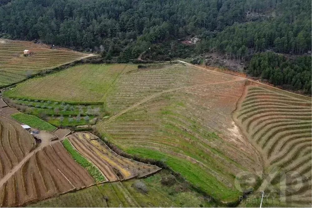 City Center Property Portimão 350 m from Beach 2.8 Km 85506834 image 35