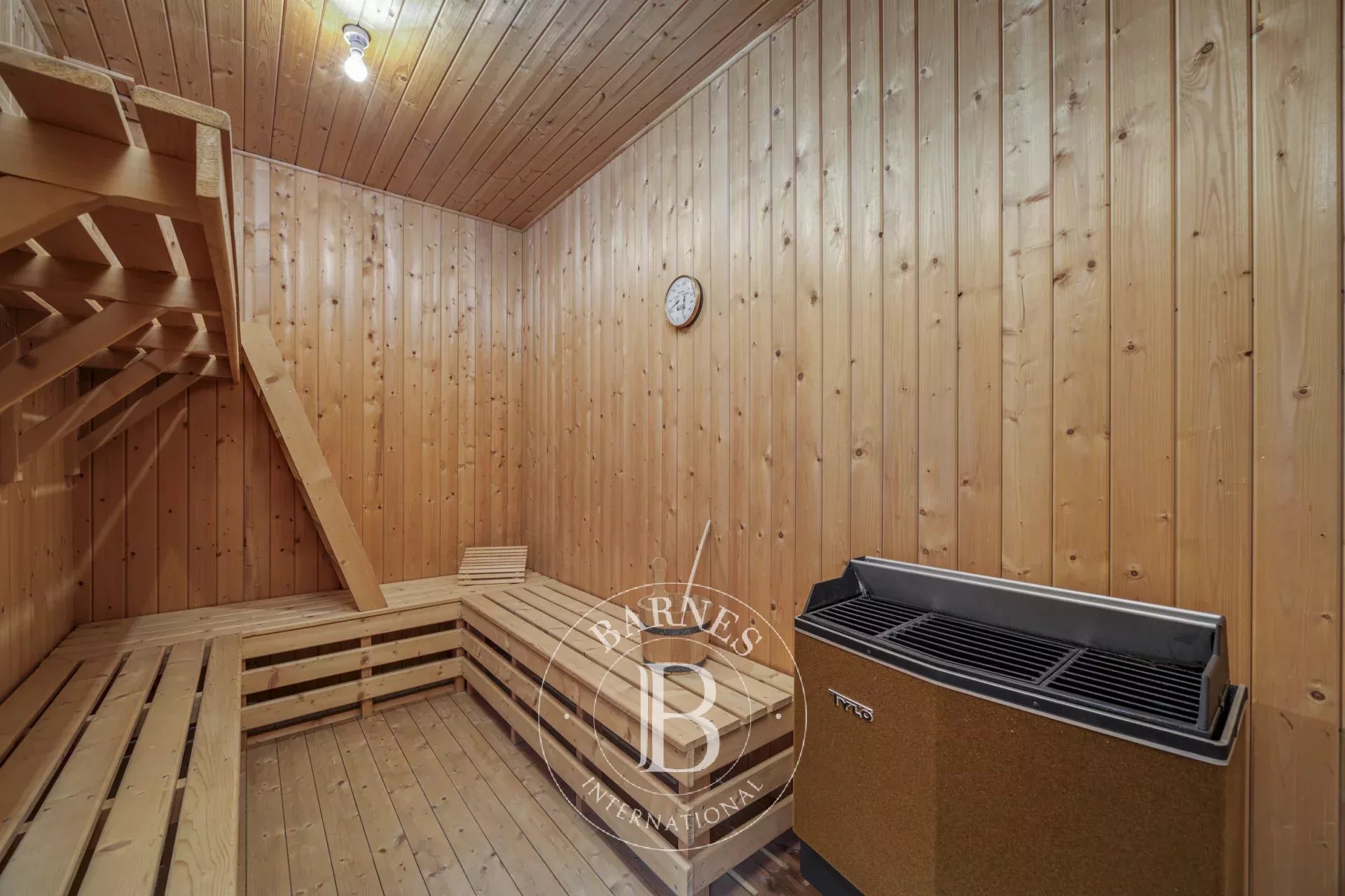 Daire Annemasse - picture 8