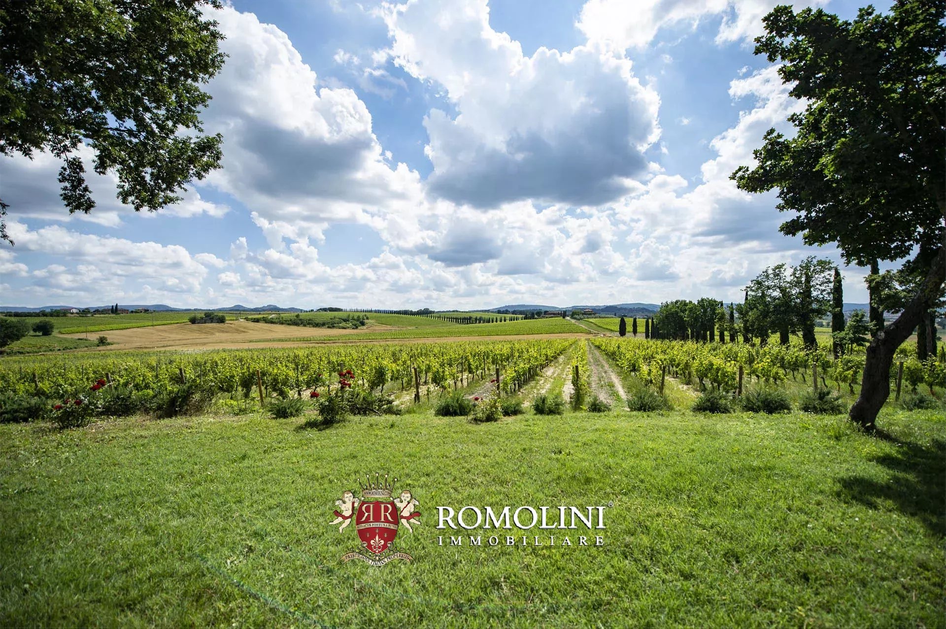 34 Bedroom Vineyard's Image 18