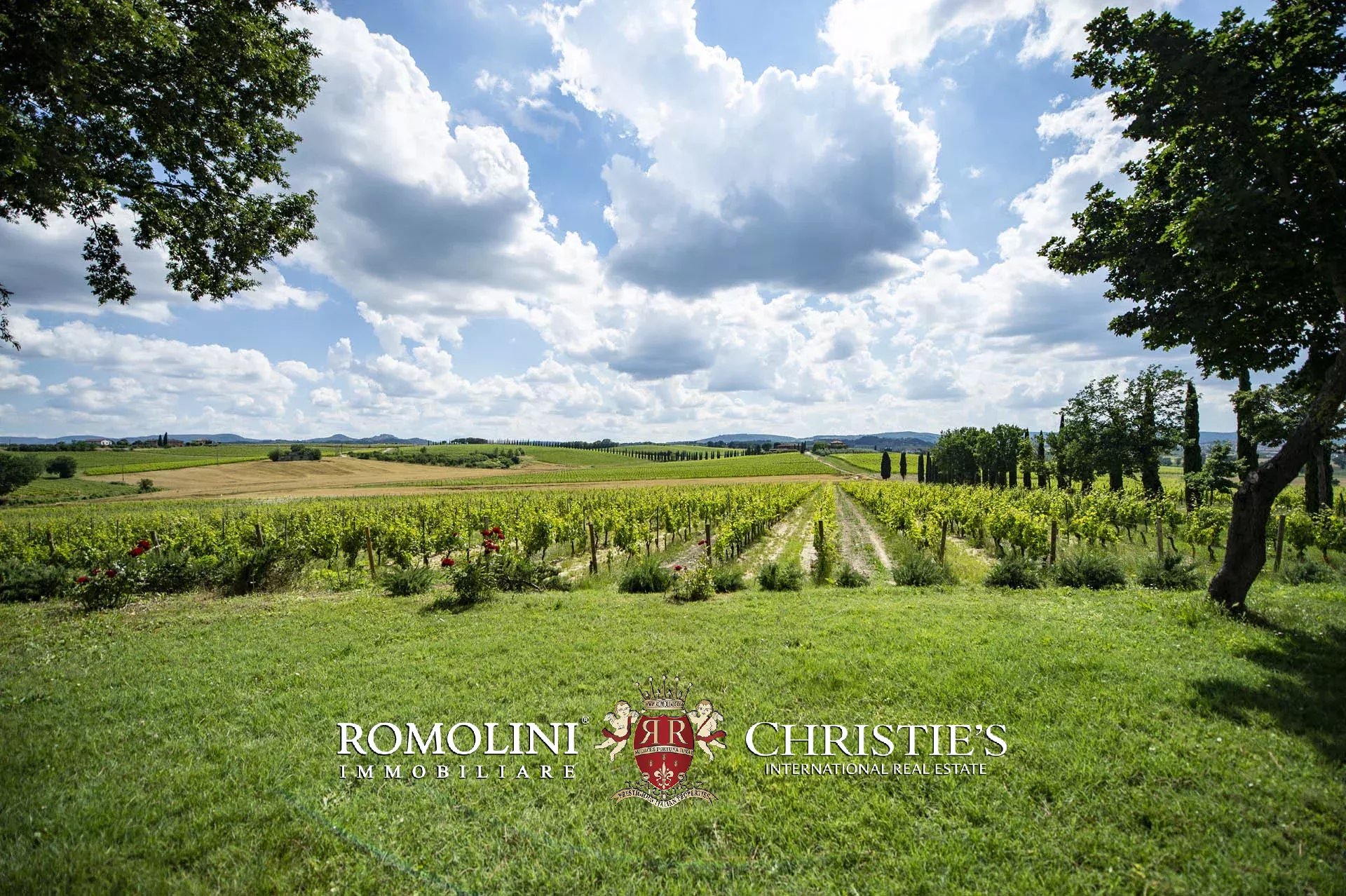 34 Bedroom Vineyard's Image 18