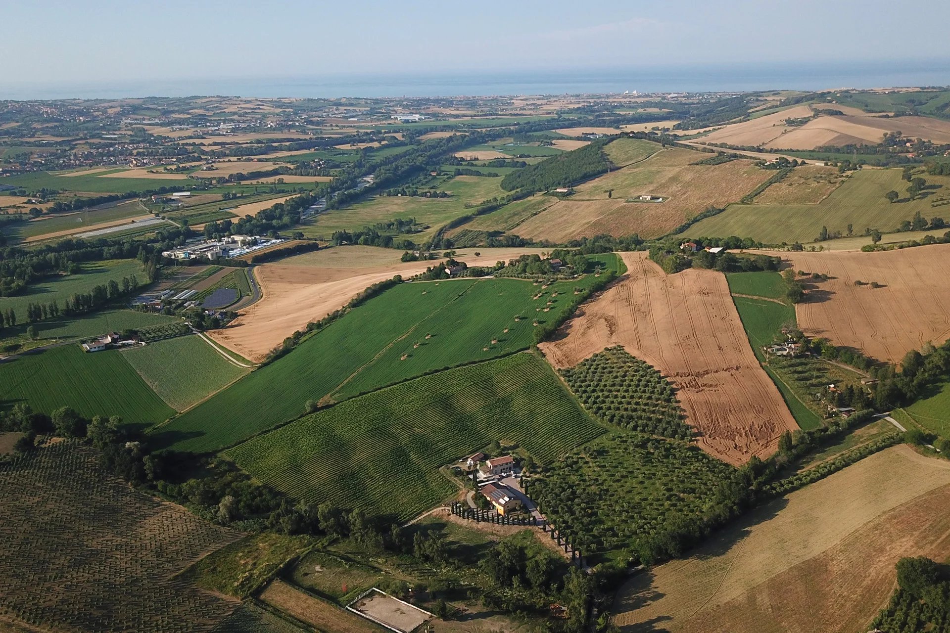  AZIENDA VITIVINICOLA CON 4,3 HA DI VIGNETO IN VENDITA NELLE MARCHE