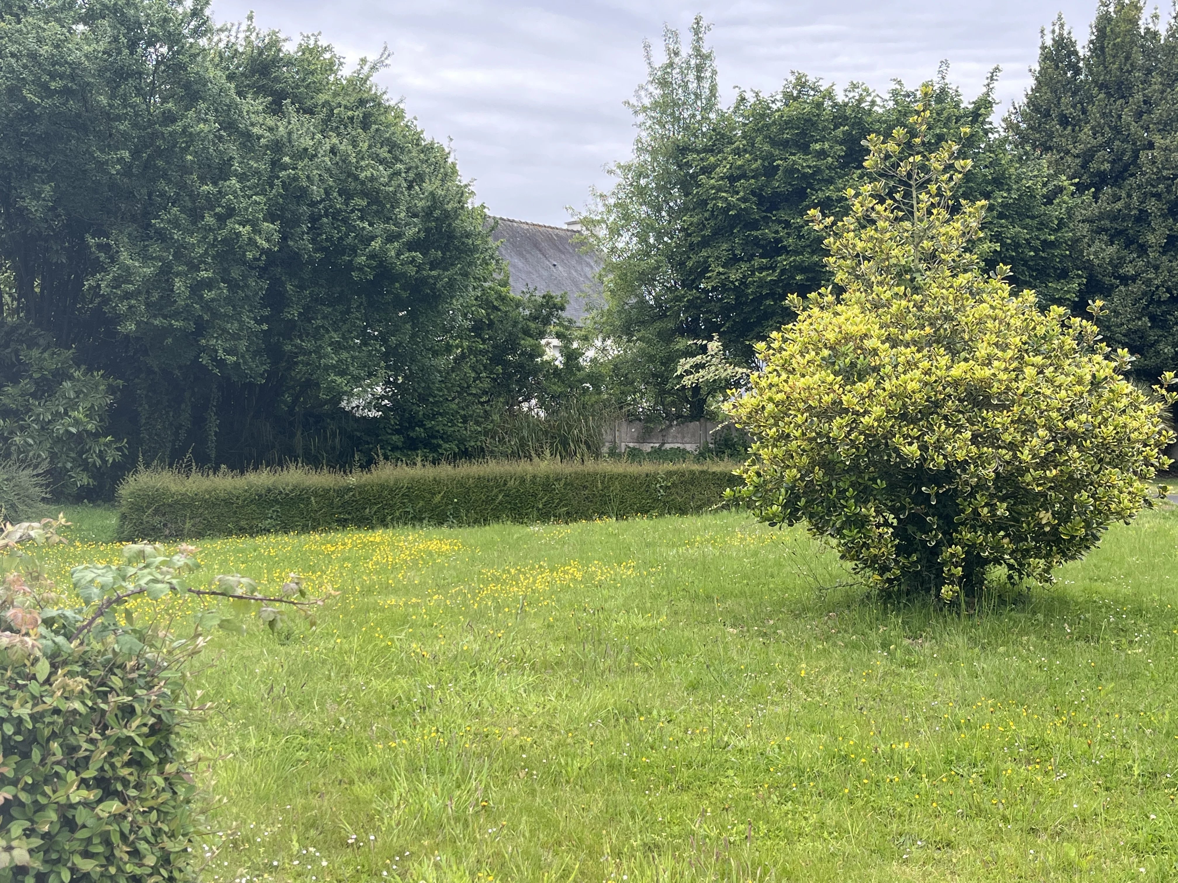Terrain constructible viabilisé à La Vicomté-sur-Rance – Proche Rance, Dinan et Saint-Malo