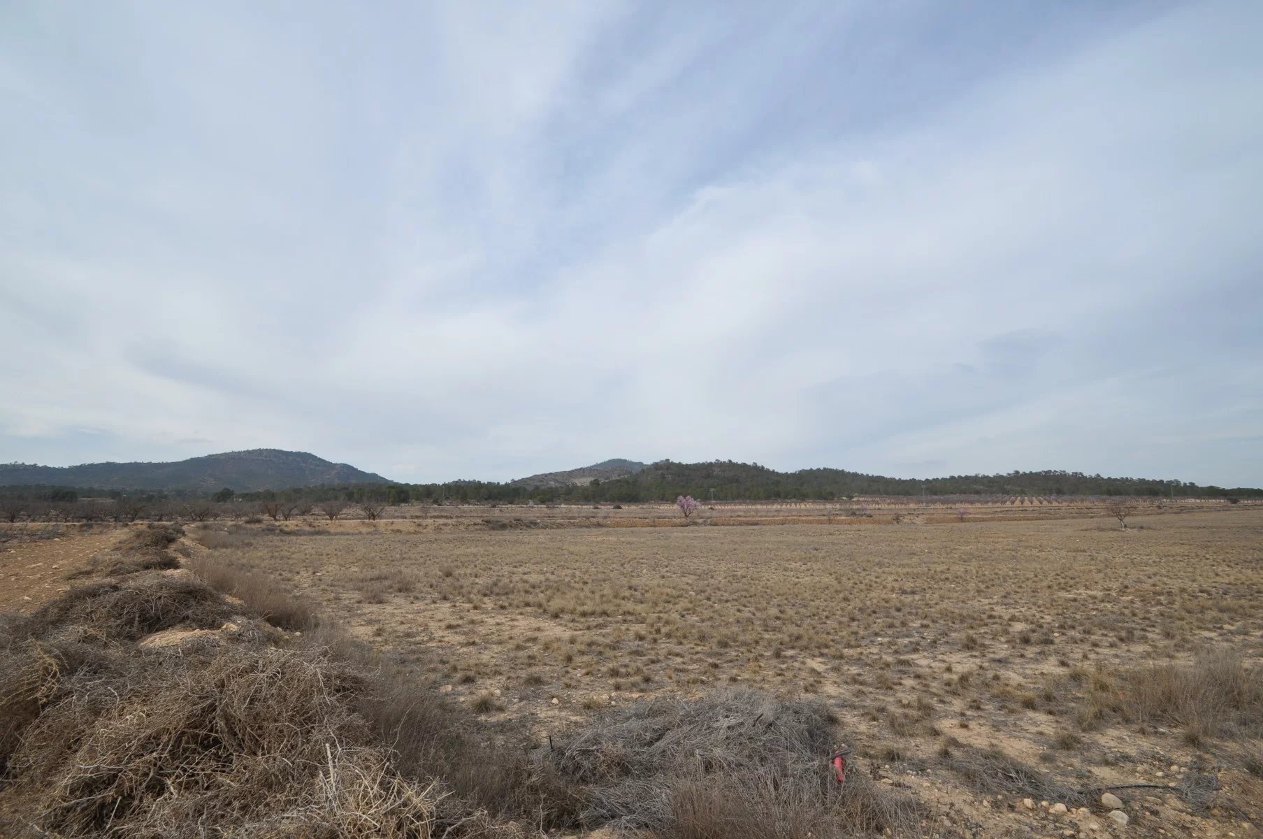 Vente Terrain 