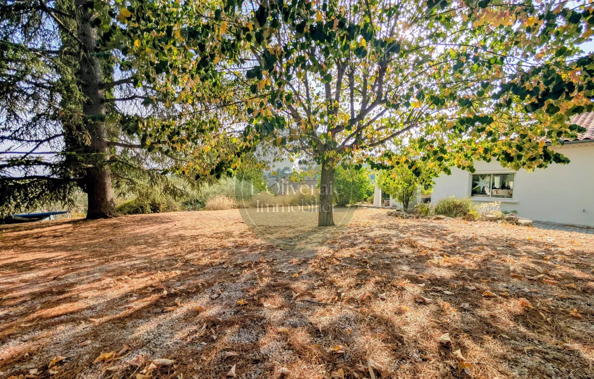 Agence immobilière de T & O Immobilier