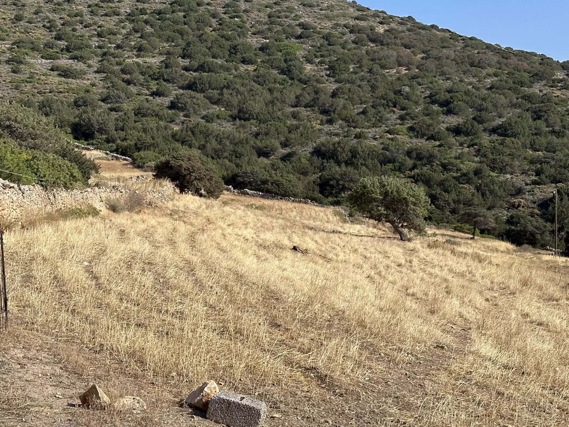 Image de la propriété 9