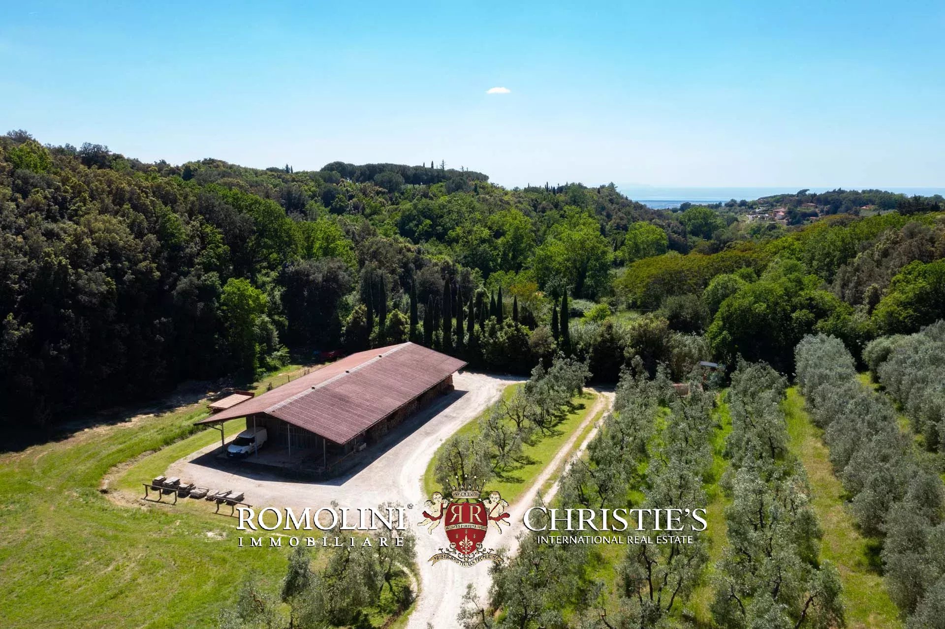 EQUESTRIAN SEA VIEW WINE ESTATE WITH VINEYARDS FOR SALE CLOSE TO BOLGHERI, TUSCANY