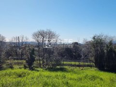 BUILDING LAND 16000m² GRASSE — photo 3 of 6