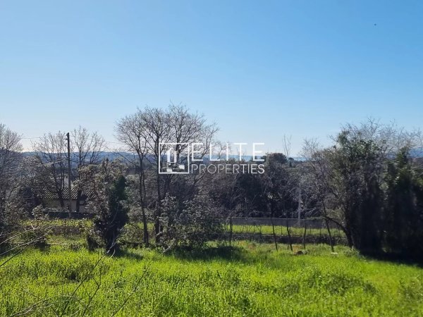 BUILDING LAND 16000m² GRASSE — photo 3