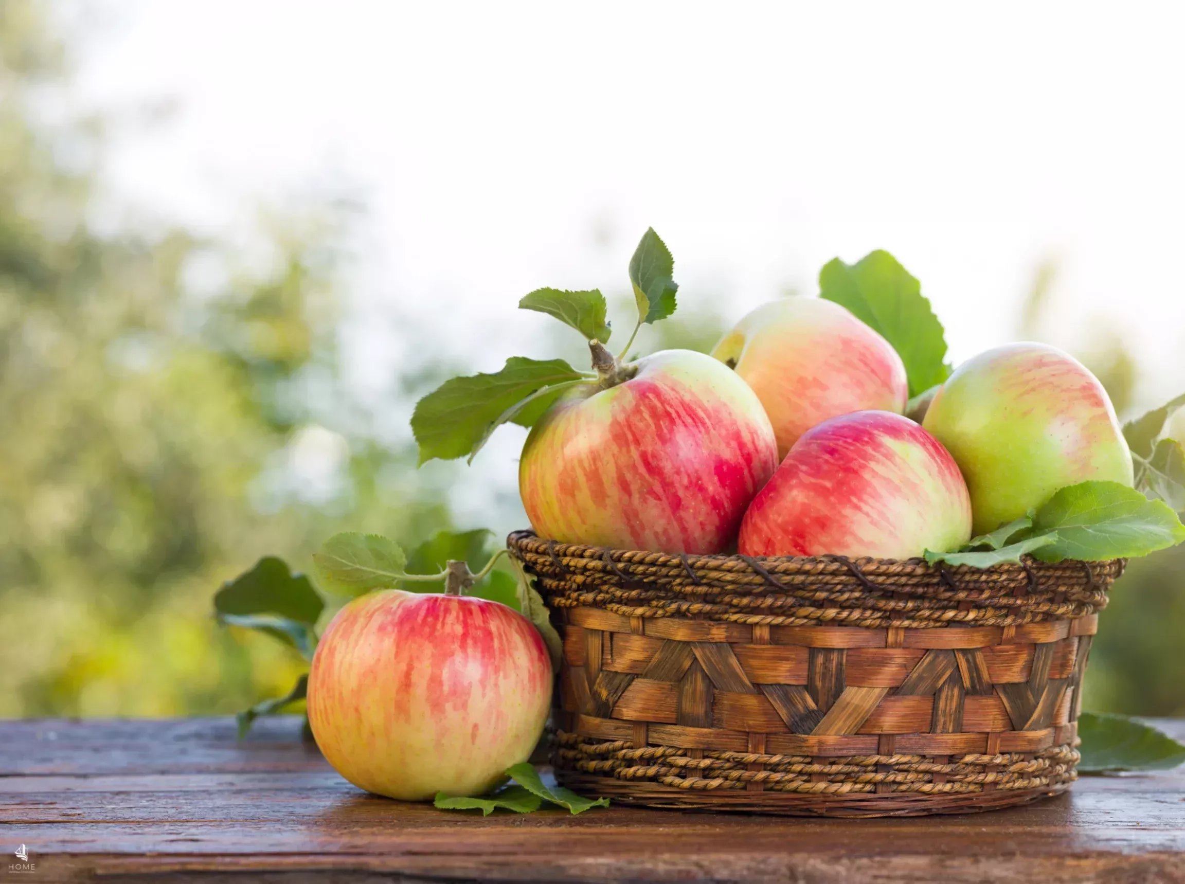 Auer: Bio-Obstwiese
