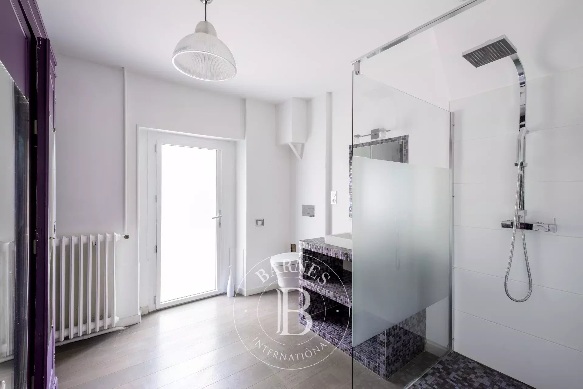 Ev Eysines - picture 6