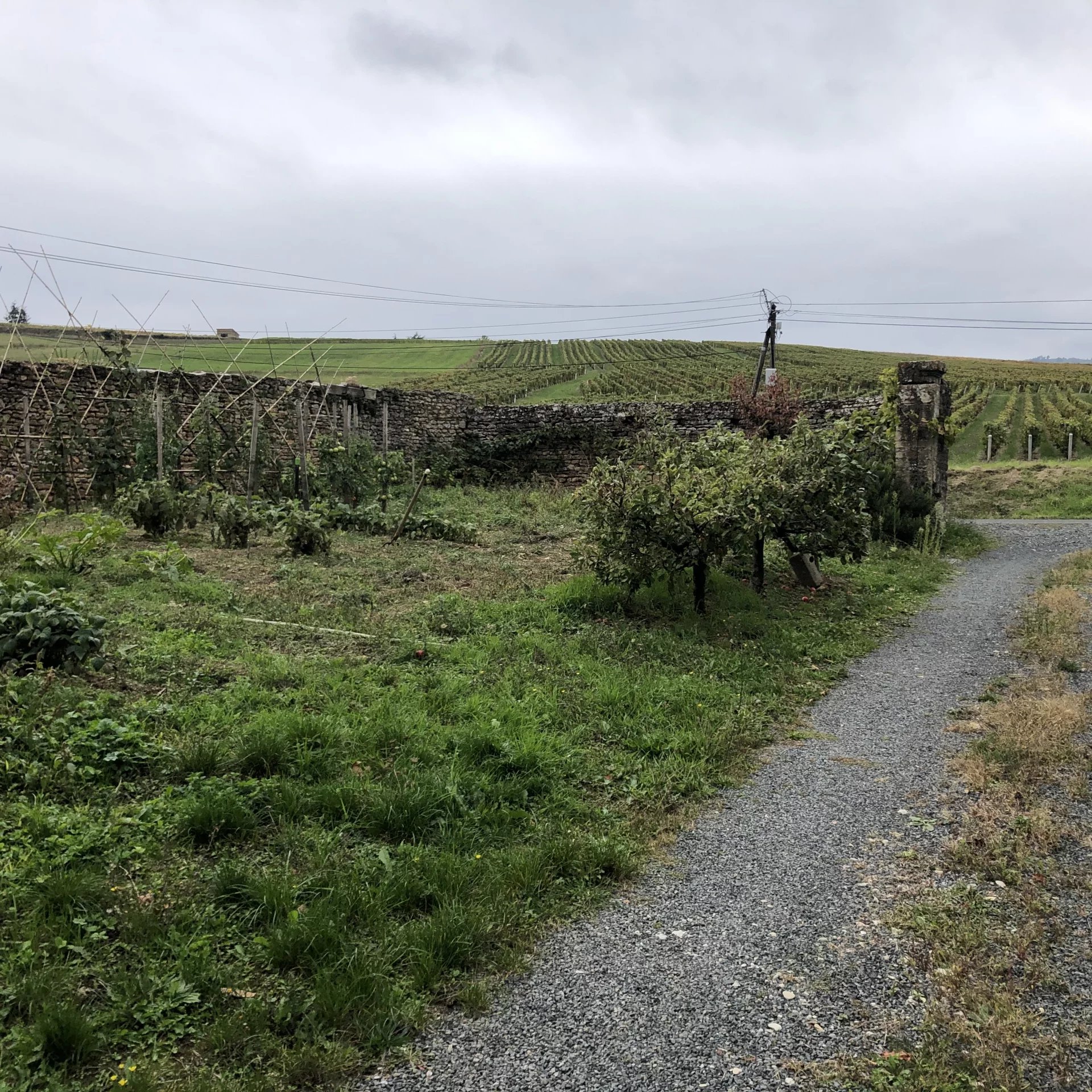 Joli terrain à bâtir au calme dans bel environnement.