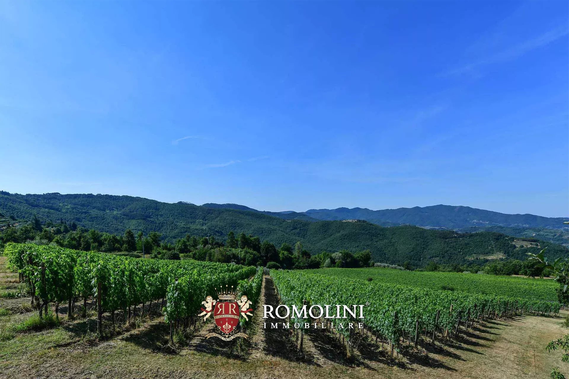 16 Bedroom Vineyard's Image 38