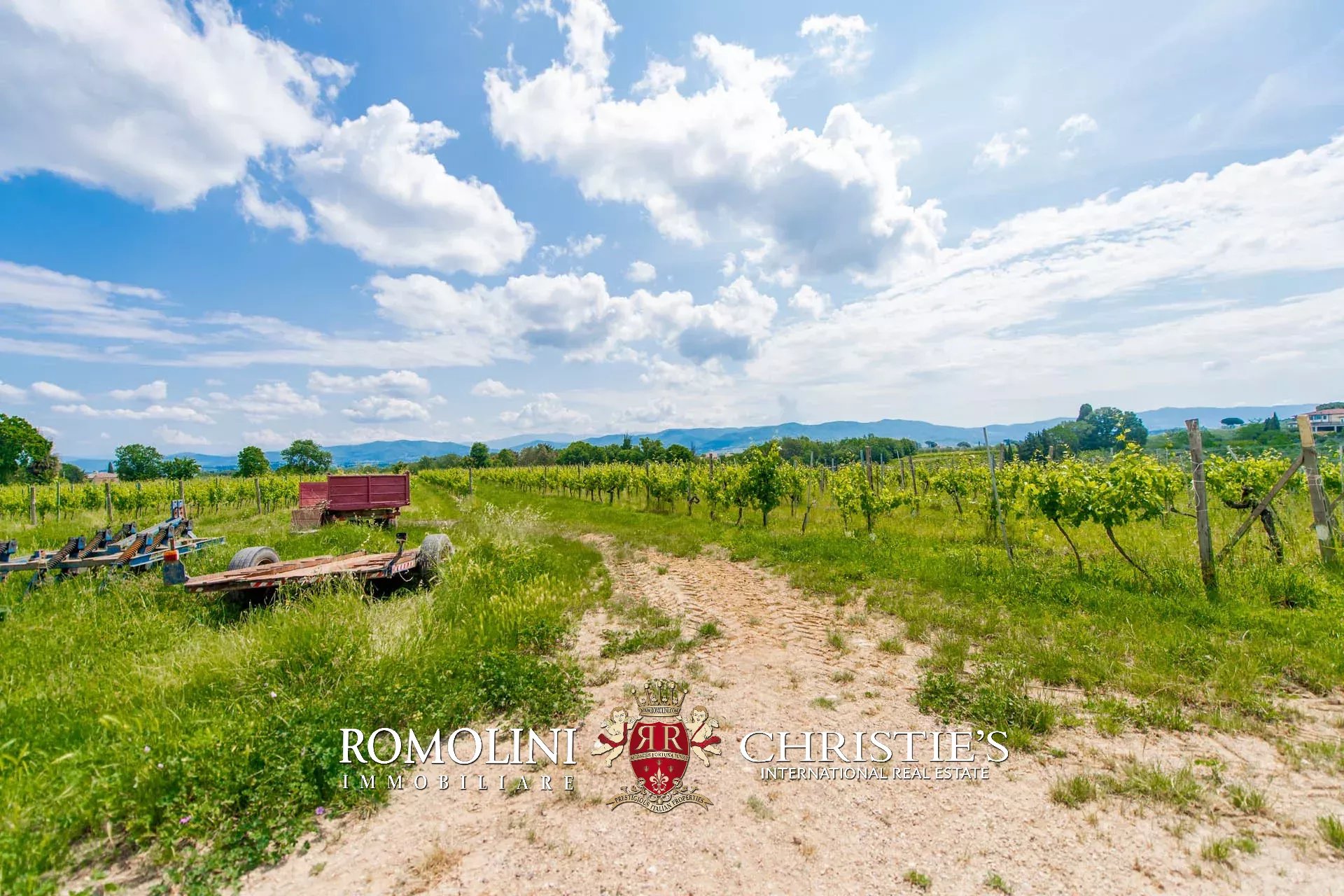 16 Bedroom Vineyard's Image 36