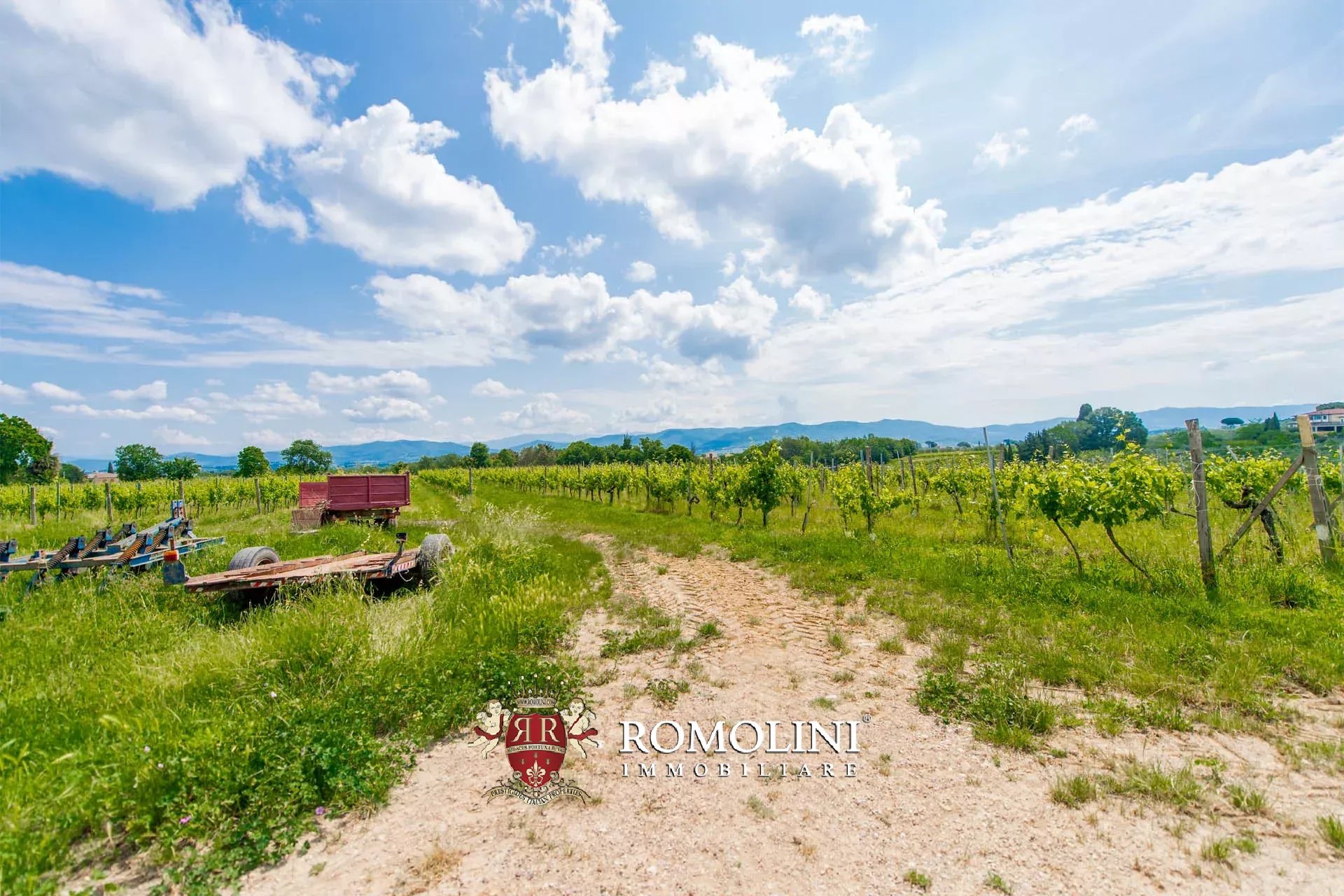 4 Bedroom Vineyard's Image 9