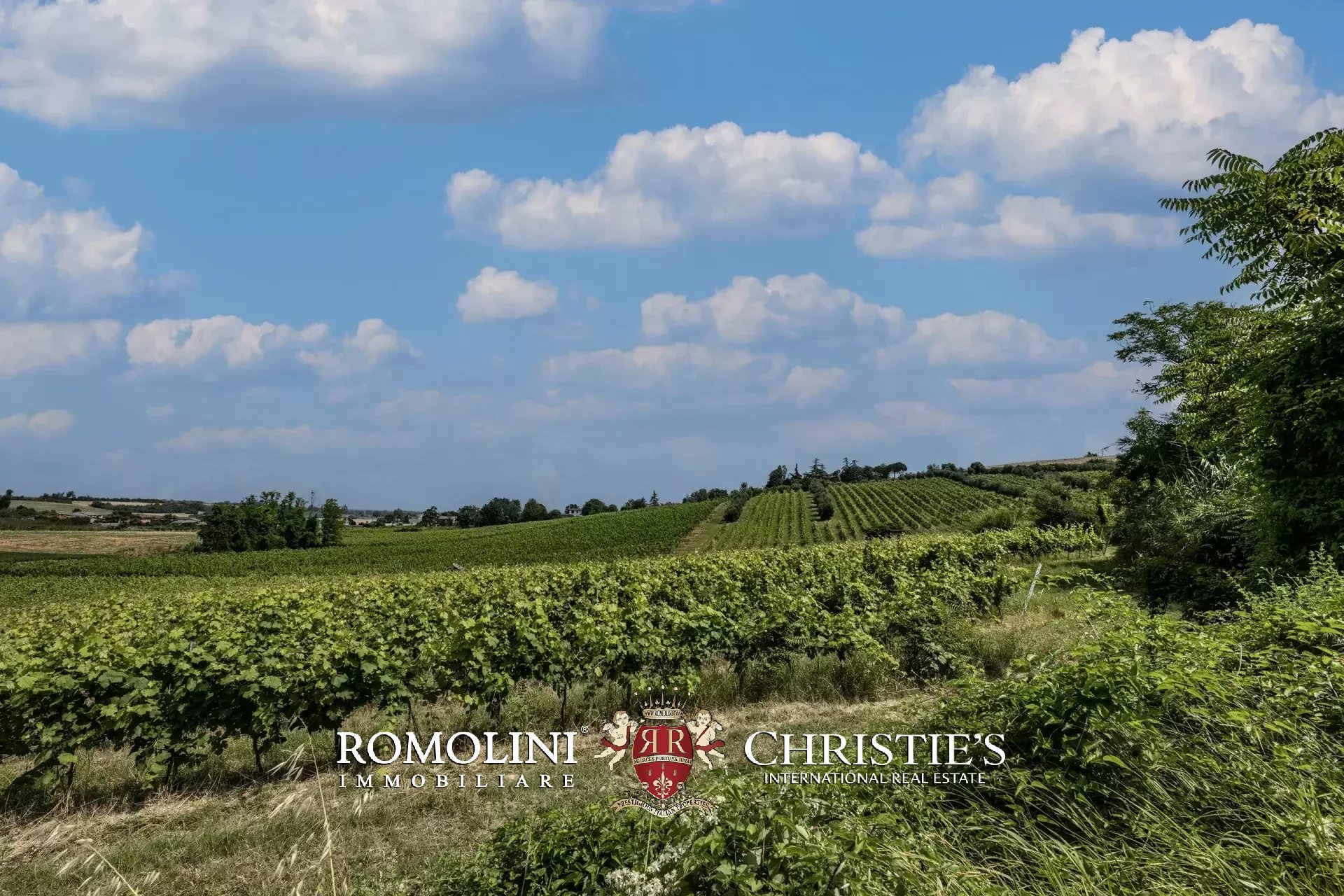 16 Bedroom Vineyard's Image 9