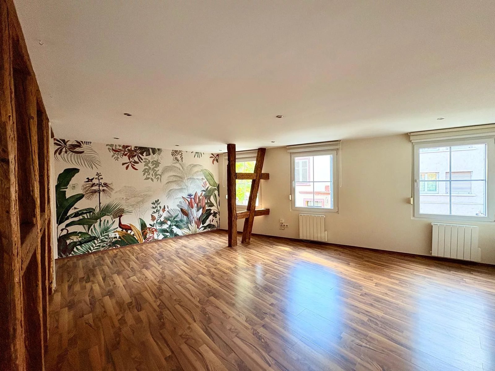 Location Appartement Haguenau
