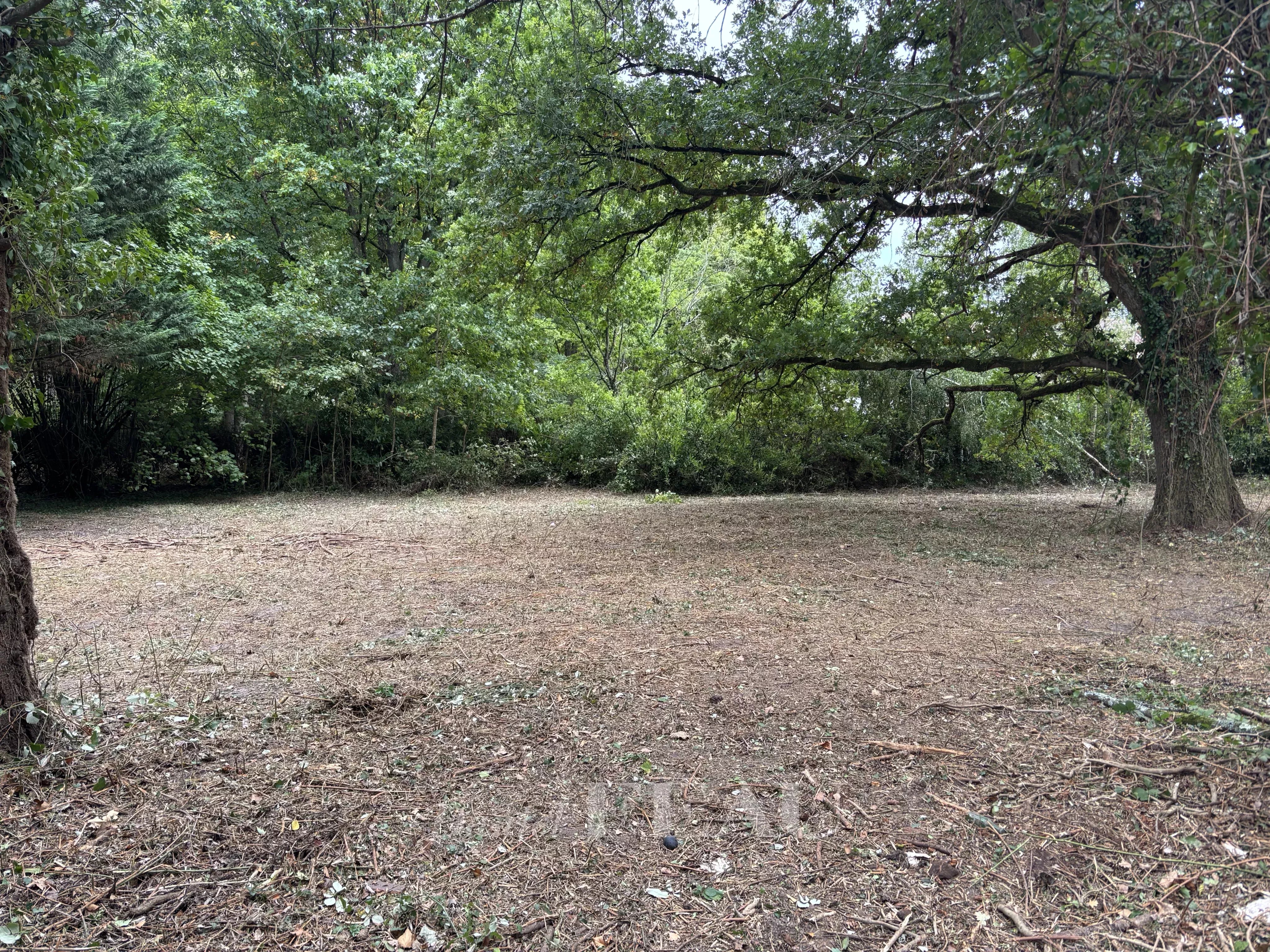 Vente Terrain Montfort-l'Amaury