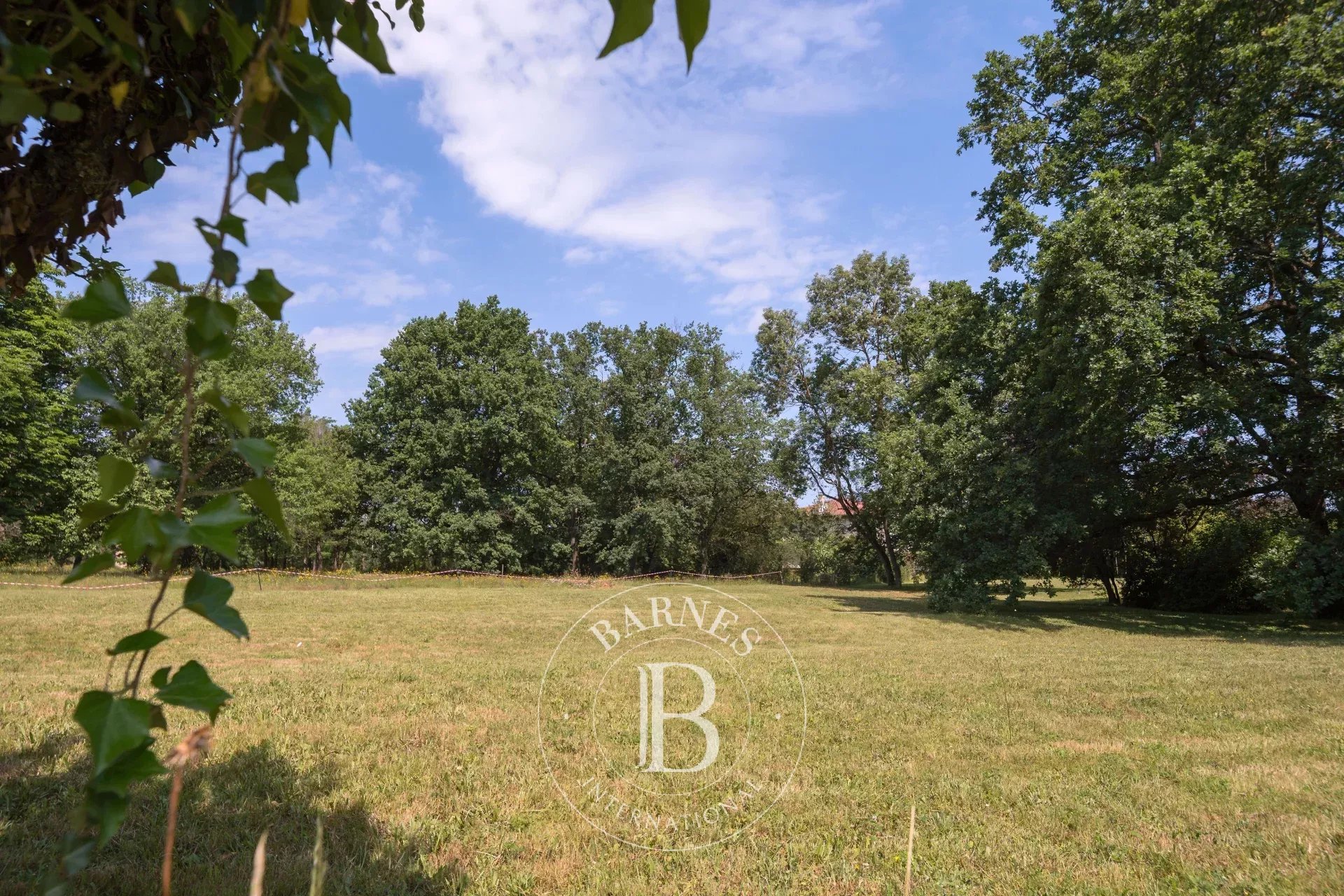 Arazi Écully - picture 9