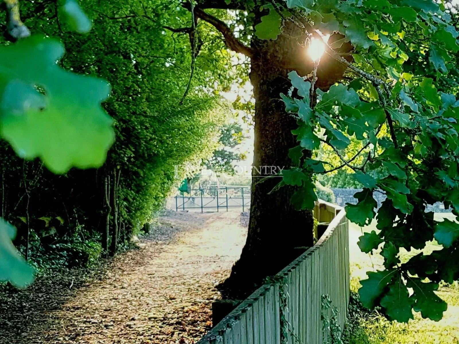 Photo of Manor house for sale Dordogne