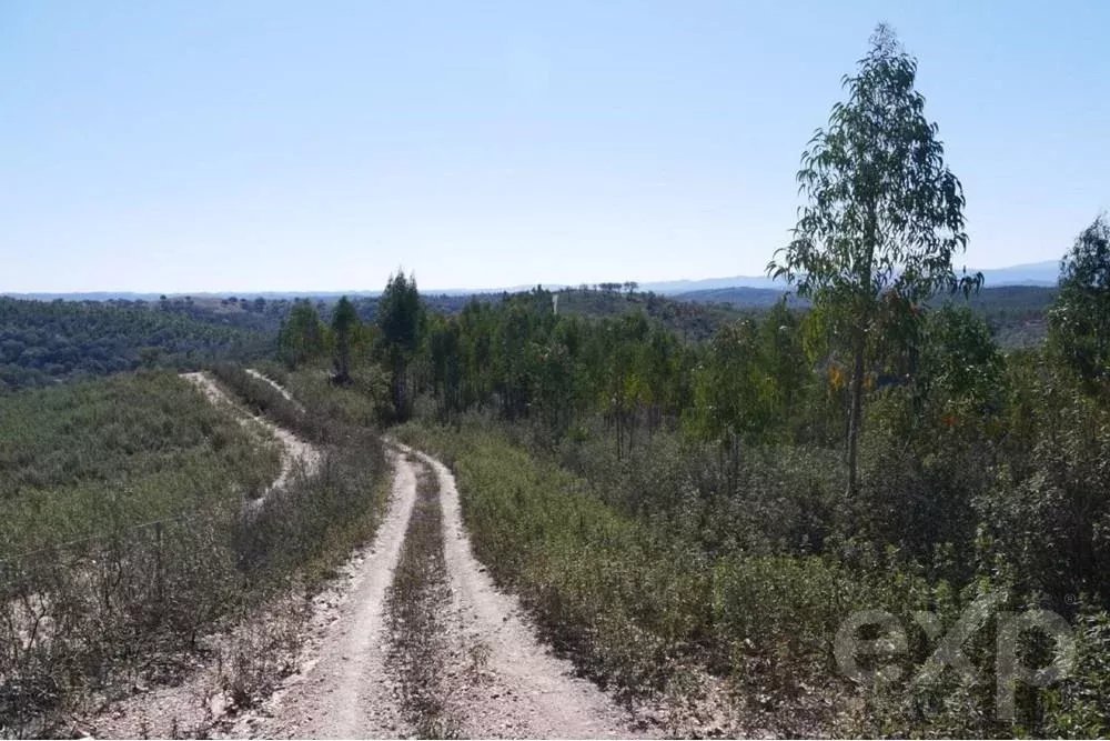 Exceptional 65-Hectare Estate in Alentejo with Tourism Development Potential 85506160 image 18