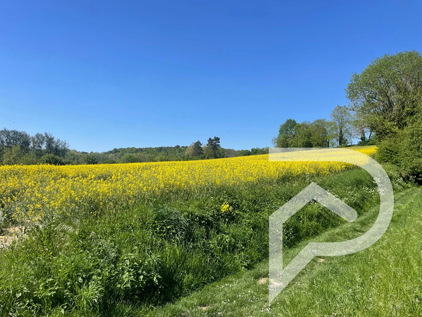 TERRAIN CONSTRUCTIBLE 580 M²