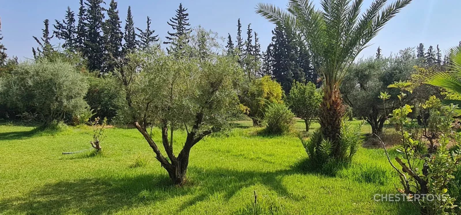 Image of Villa - 9 Bedrooms for Sale in Marrakech-Ménara-Marrakech-Morocco, Image 2