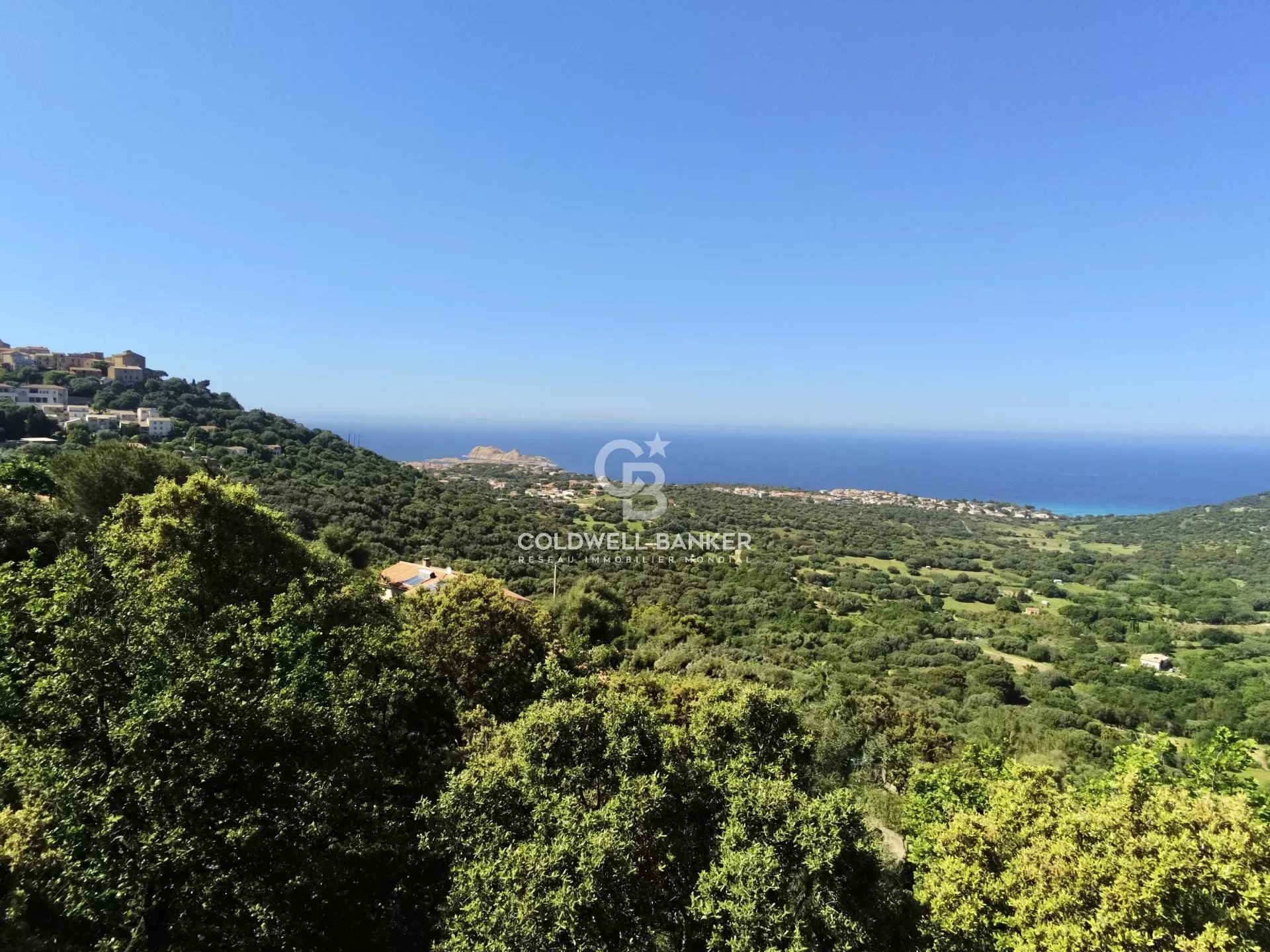 Agence immobilière de Coldwell Banker Allegrini Realty