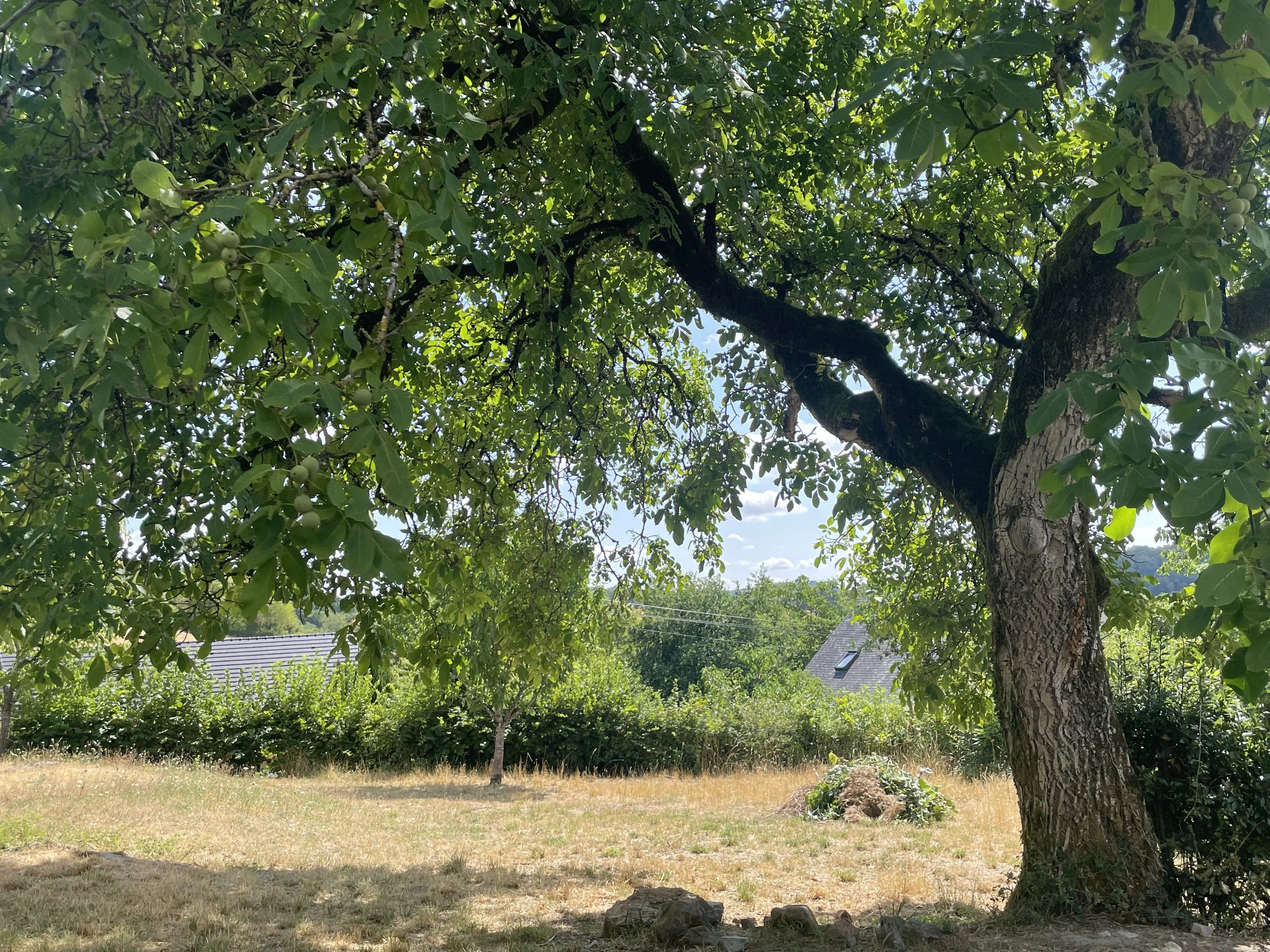 Maison dans une impasse avec vue dégagée — photo 2