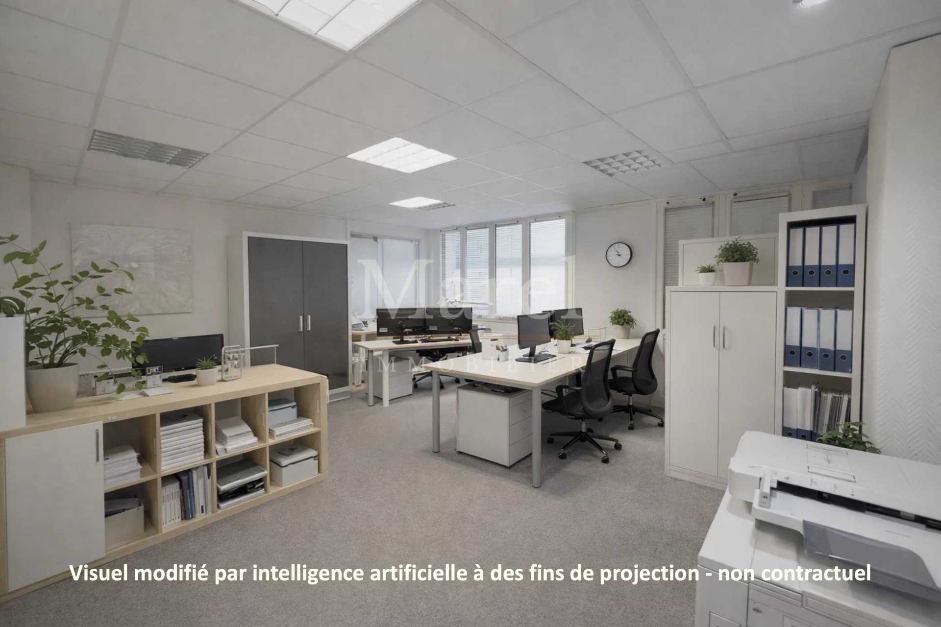 Agence immobilière de MAREL IMMOBILIER