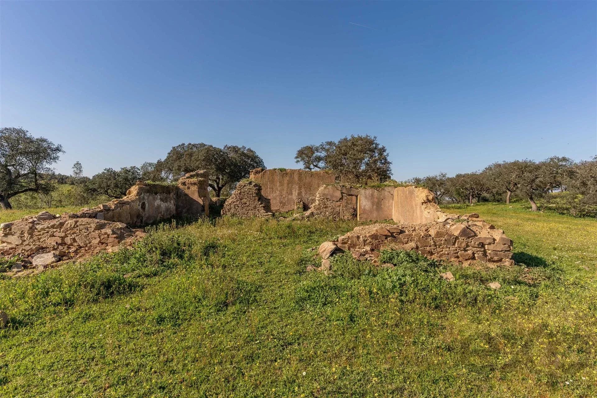 Private Estate - Equestrian Centre 86637172 image 58