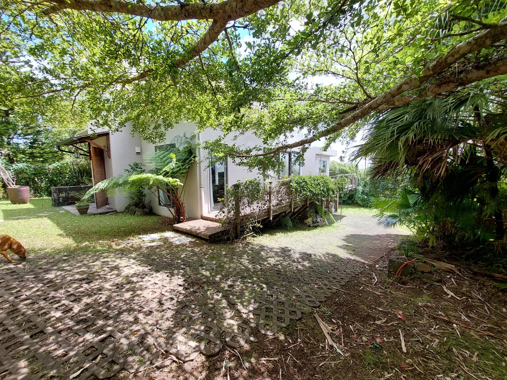 CUREPIPE - Modern architect's house - 4 bedrooms
