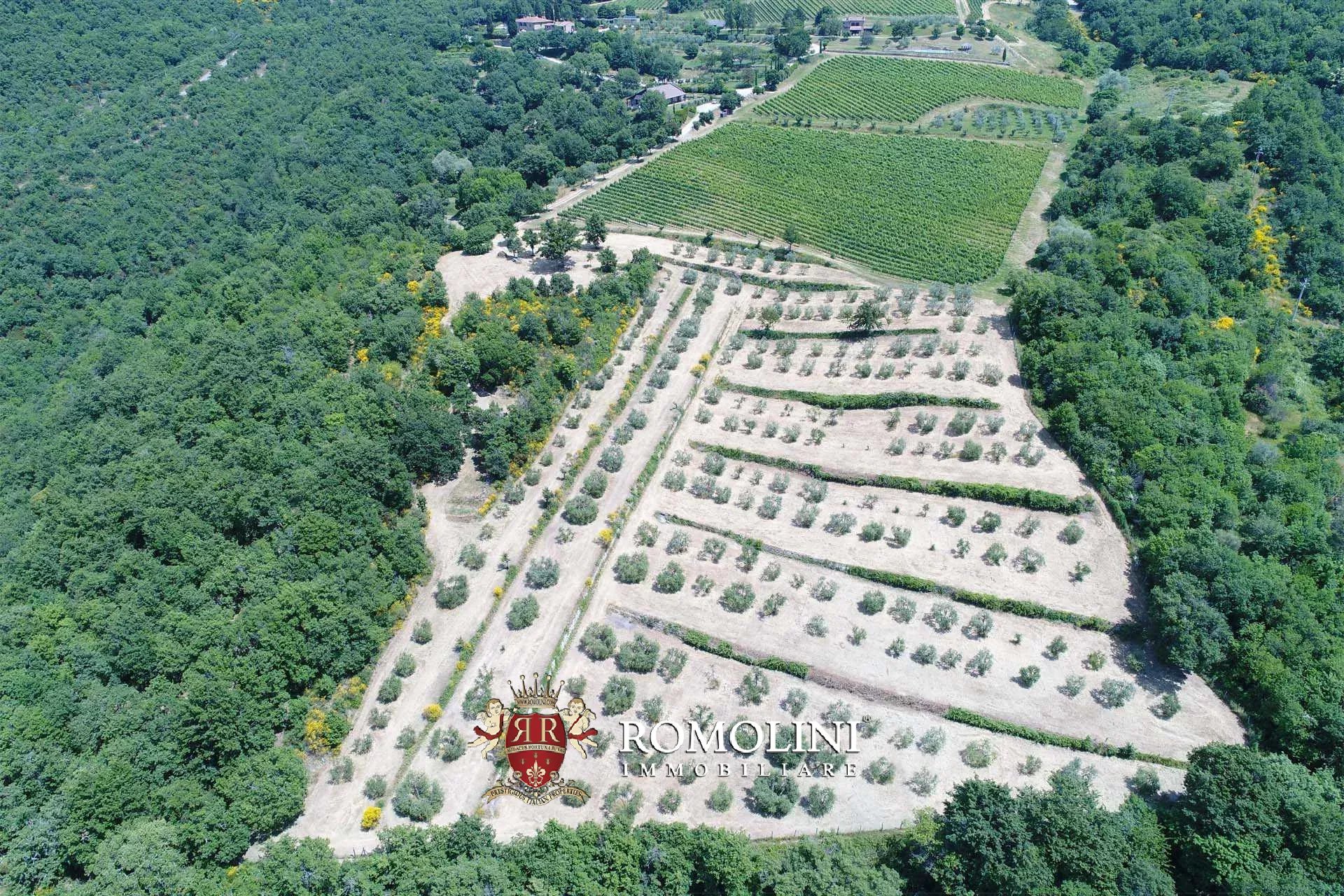 16 Bedroom Vineyard's Image 29