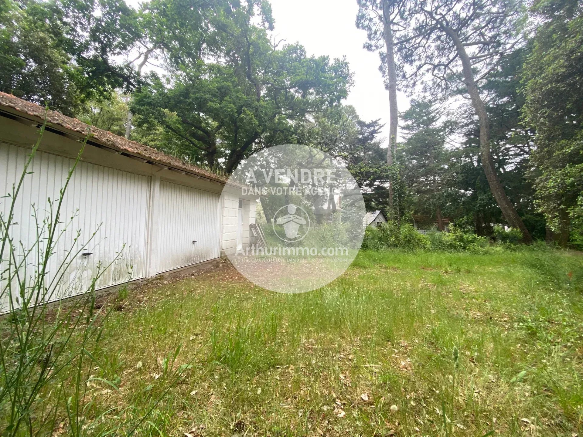 Agence immobilière de Arthurimmo.com Nantes-Vignoble Immobilier