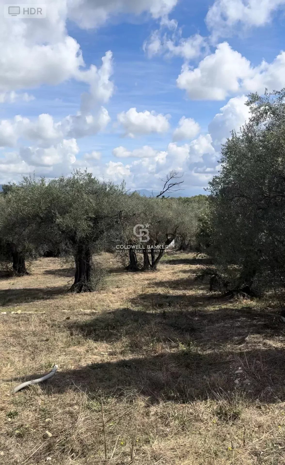 Vente Terrain constructible Valbonne