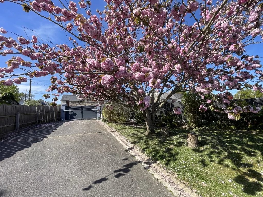 BORDS DE RANCE  EXCLU  RANCE  IMMO