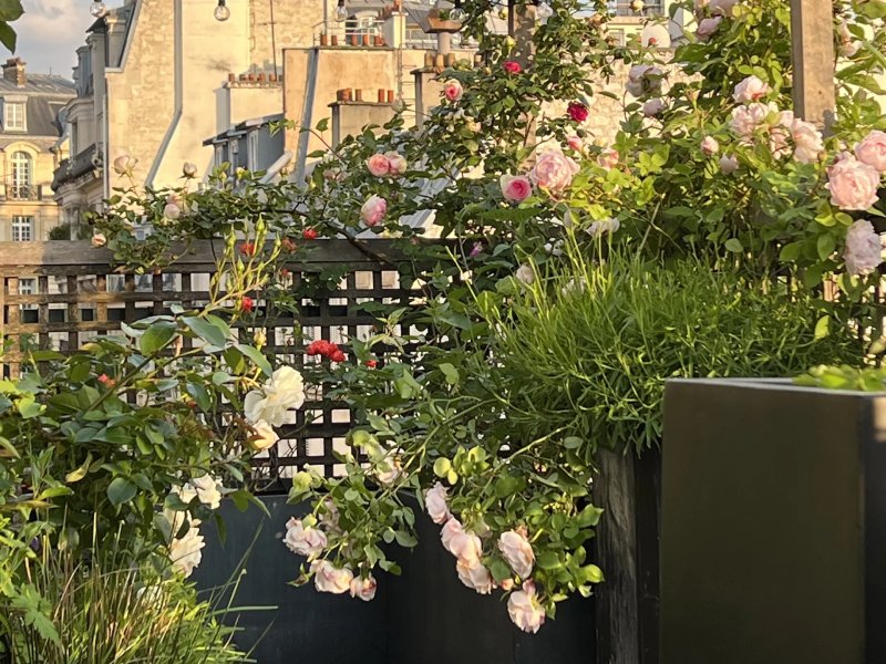 Venta Piso | Paris 17ème - picture 2