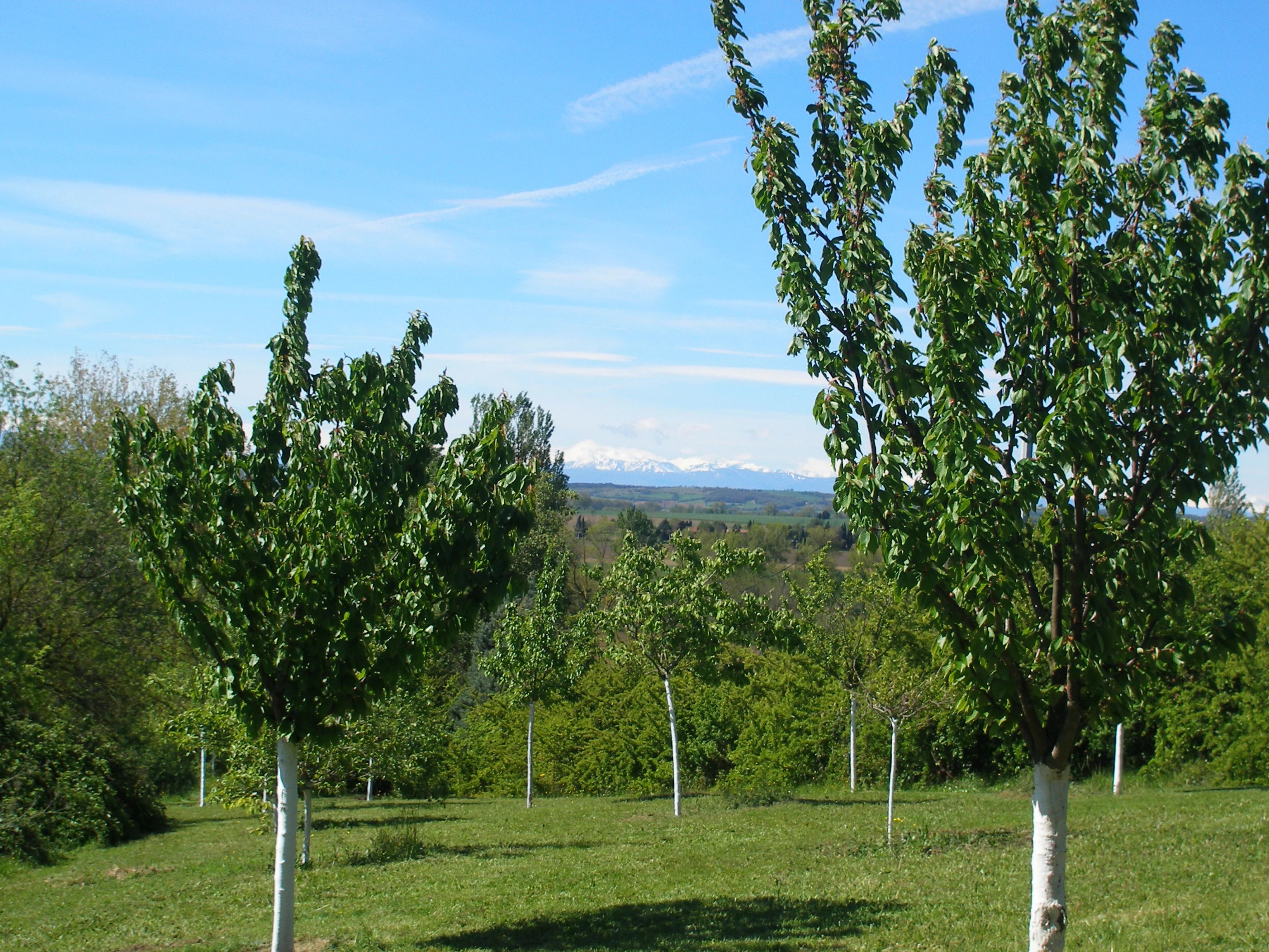 Property for sale Castelnaudary, Aude